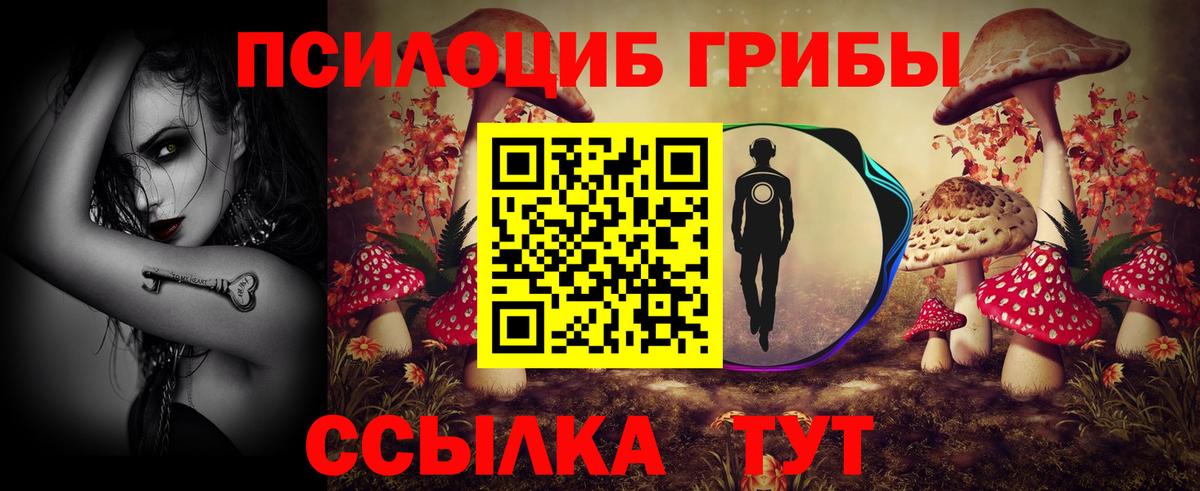 Псилоцибиновые грибы прущие грибы Белгород