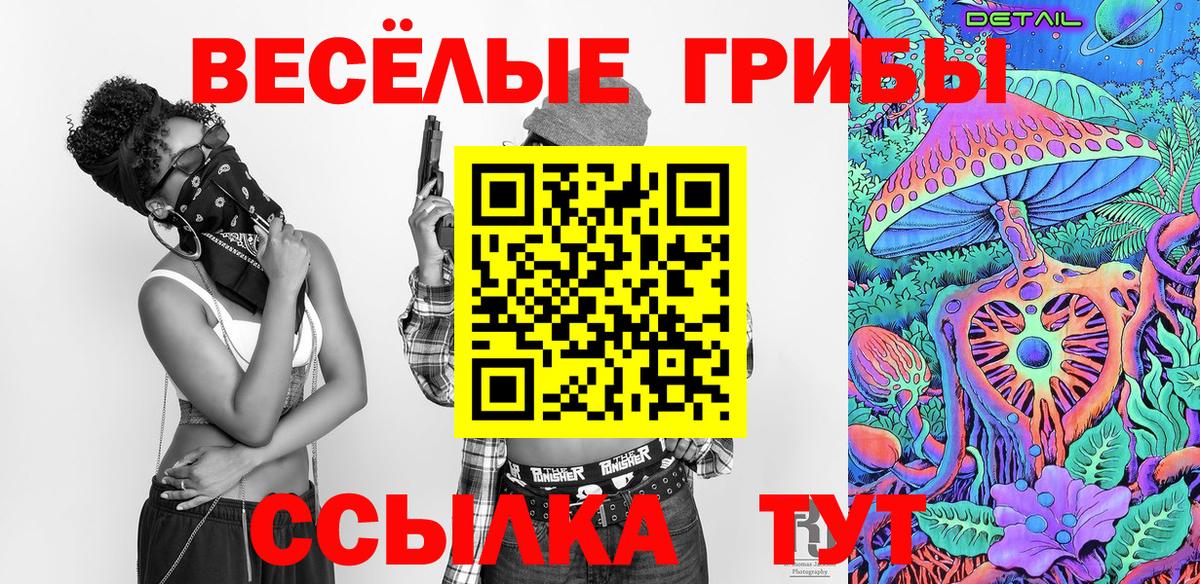 Псилоцибиновые грибы Psilocybe  Вход с VPN  Белгород 