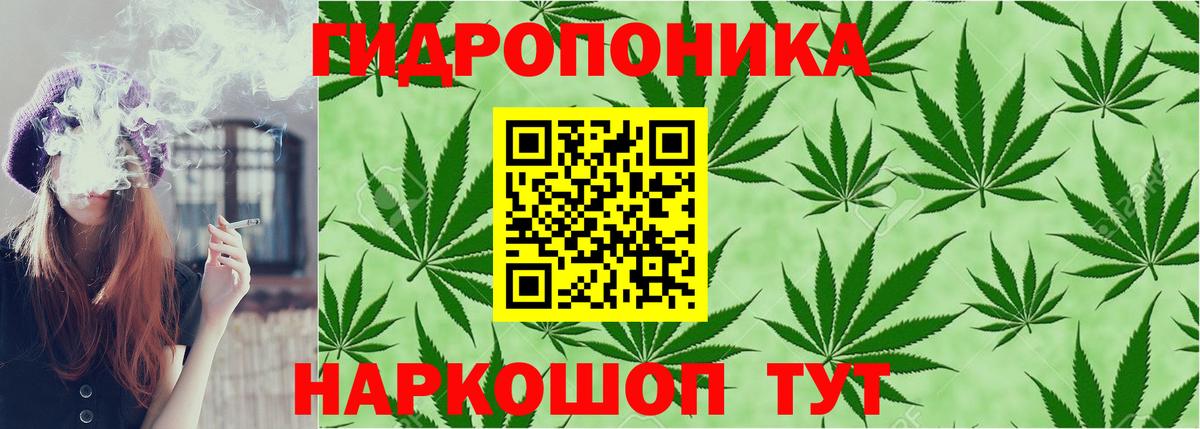 Шишки марихуана план Белгород